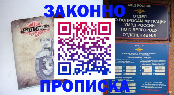 прописка для школы в Истре